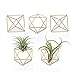 Mkono 5 Packs Air Plant Holder Mini Metal Tabletop Himmeli Decor Modern Geometric Planter Tillandsia Air Fern Display Stand with Each Side 2.6" Long for Home, Office and Wedding Gift Idea, Gold primary