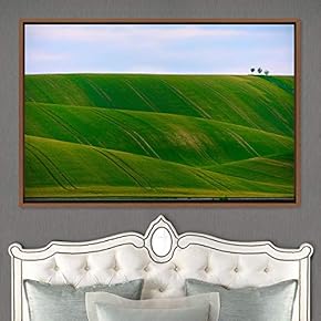 signwin Framed Canvas Wall Art Greenlands Aerial Dark...