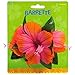 Hibiscus Barrette-Pink Plastic Hair Clip - 4