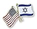 American Flag x Israel Flag Enamel Lapel Pin (1 Pin)