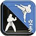 Blue Orchards Karate Party Supplies Packs (100 Pieces for 16 Guests) - Karate Birthday Decorations, Plates and Napkins, Taekwondo Party for Kids Birthday, Martial Arts Party