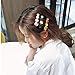 6PCS Hair Clip Acrylic Resin Hair Barrettes Alligator Hair Clips,Colorful Hair Clips Hairpins Geometric Alligator Clips for Women Girls Hair Accessories