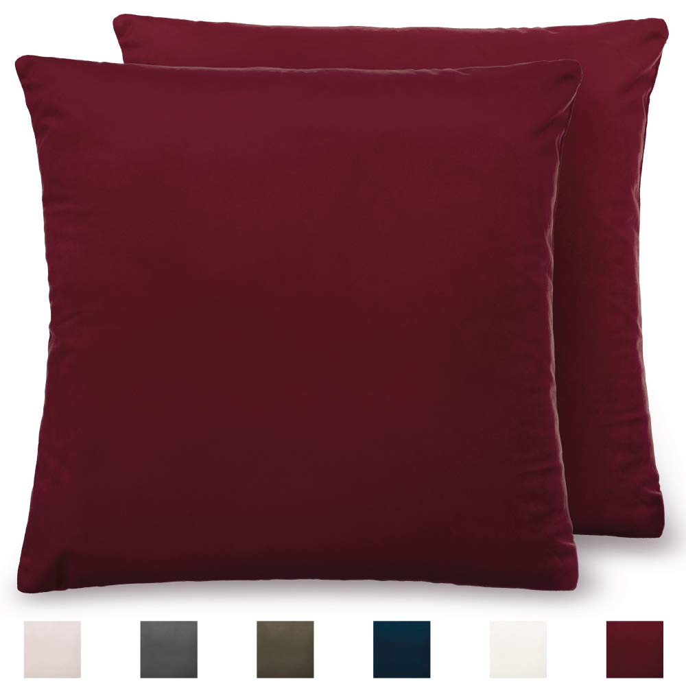 Best pillows for living room sofa