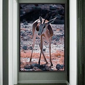 signwin Framed Canvas Wall Art Deer Animals Deer...