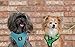 EcoBark Dog Harness - Eco-Friendly Max Comfort Harnesses - Luxurious Soft Mesh Halter - Over The Head Harness Vest- No Pull and No Choke for Small, Toy Breed, and Teacup Dogs (XS, Camo)