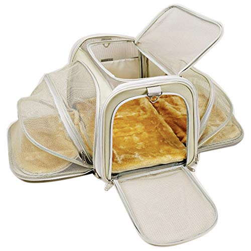 airline approved carriers