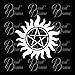 Anti-Possession symbol SMALL Vinyl Laptop Decal
