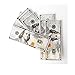 Empire $100 Dollar Bill Premium Rolling Paper Benny