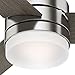 Hunter 54in Contemporary Ceiling Fan with Remote Control in Brushed Nickel (Renewed)