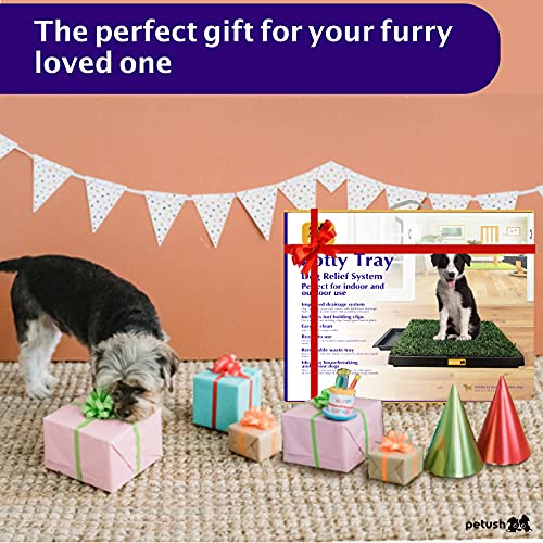 pet time grand dog toilet