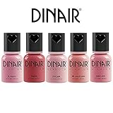 Dinair Airbrush Makeup Matte Blush Collection Set
