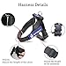 Dog Harness, Dog Vest Harness X Large Soft Pet Harness Durable Black with Handle and 2 D Ring for Large Dog
