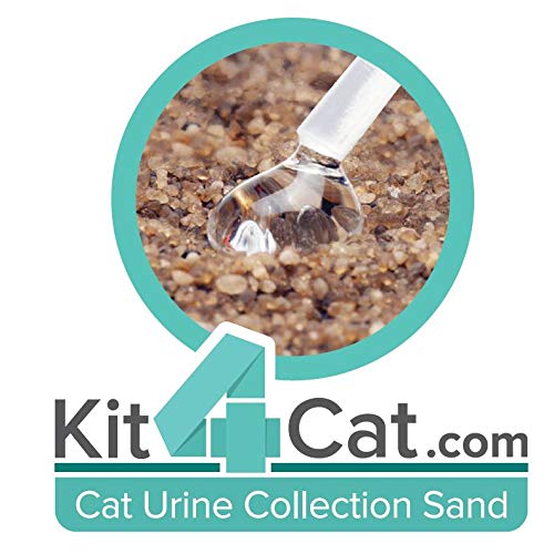 KIT4CAT Cat Urine Sample Collection Sand (3 Part Box) Pricepulse