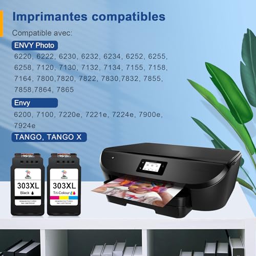 Palmtree 303XL 303 XL Compatible with HP 303 XL Black and Colour Ink Cartridge for HP Envy Photo 6232 6230 6220 7830 6234 7130 7134 7800 7900 6222 7855 6252 6255 6258 71200 7132 Tango X (2-Pack)