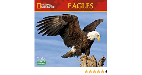 National Geographic Eagles 2018 Wall Calendar National Geographic Society 0629084181407 Amazon Com Books