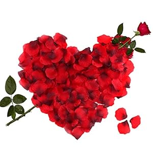 3000 Piezas Pétalos de Rosa, Hermosos Rojo Flores de Rose para el banquete de boda y la atmósfera romántica – Perfecta Día de San Valentín & Bodas Decoración