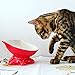 ViviPet Q Bowls and Big Head Water Bowl for Cat and Dog under 20 Pound (Q Bowl-Coral Red)