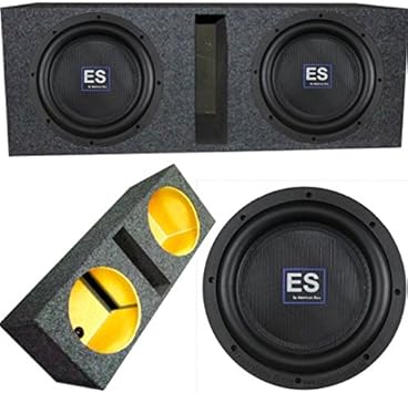 dual enclosed subwoofers