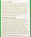 HYLEYS Tea Garcinia Cambogia Green Tea Original Flavor - 25 Tea Bags (12 Pack - 300 Tea Bags Total)