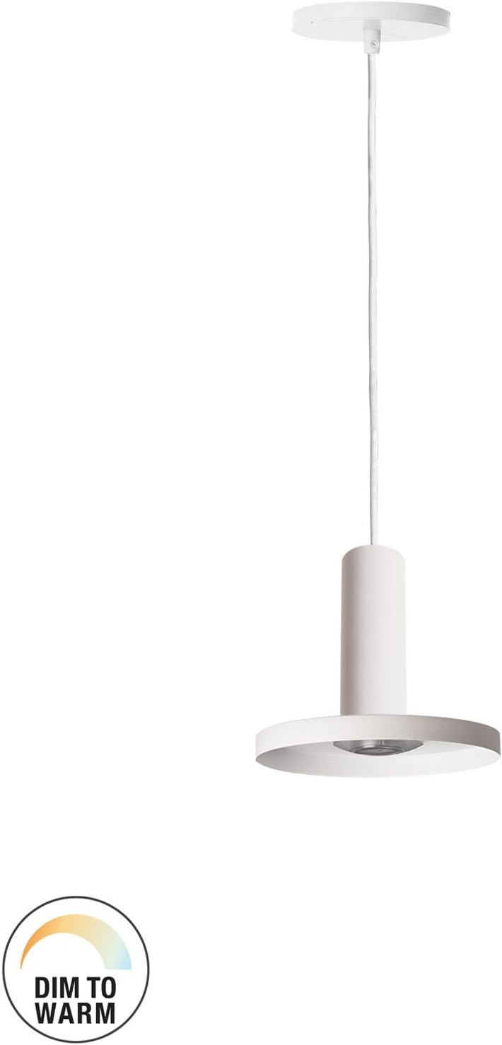 SLV Lighting 795023A Icona Saucer Industrial One-Light Led Indoor Pendant, Prismatic Lens and Dim-to-Warm Feature, White
