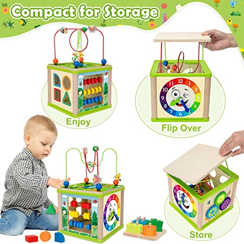 Montessori Developmental Toys for 1 Year old Boys & Girls,6in1Wooden