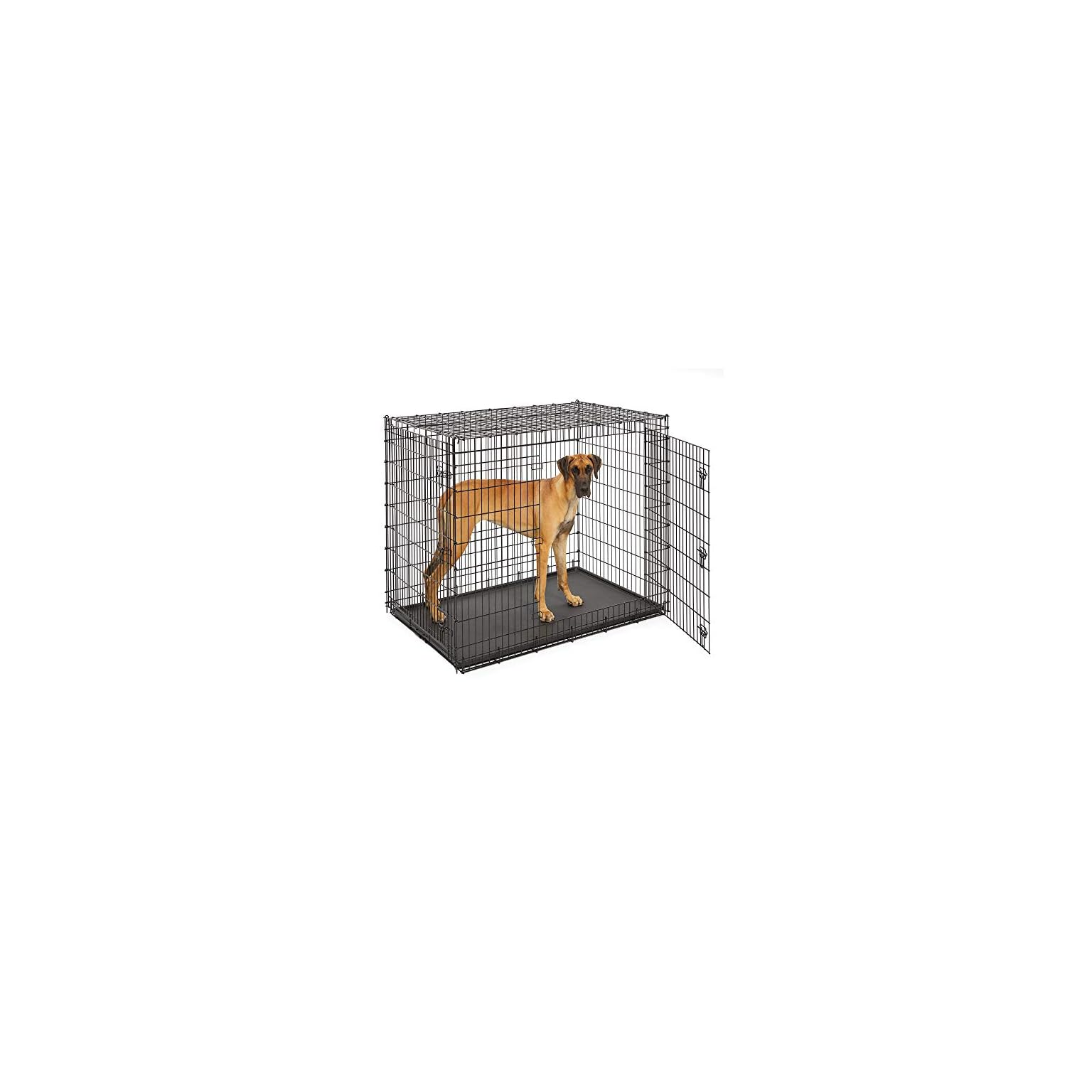 Midwest SL54DD Ginormus Double Door Dog Crate for XXL for the Largest