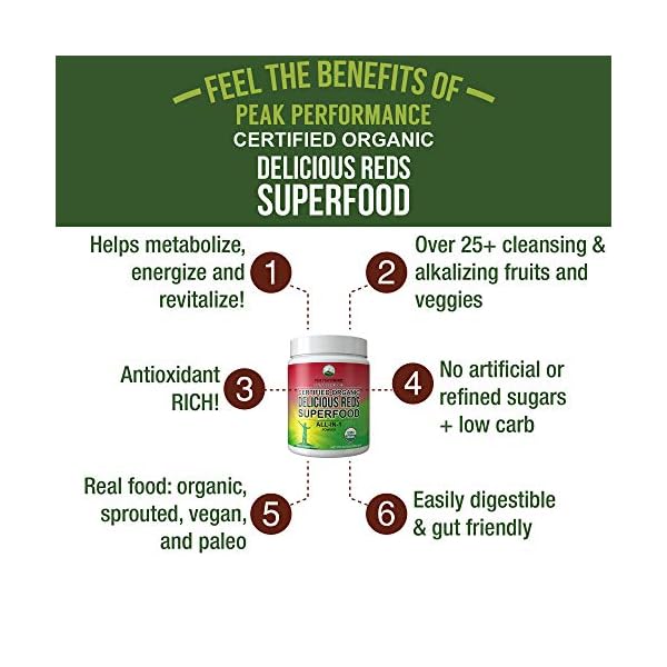 Organic Reds Superfood Powder. Best Tasting Organic Red Juice Super
