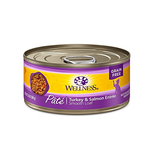 Wellness Complete Health Turkey & Salmon Cat Food - Image 2
