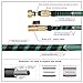 Greenbest Expanding/Expandable Garden Hose, Car Hose,Plastic Hose Hanger, 3/4Nozzel Solid Brass Connector,Double Latex Core,Extra woven Strength Fabric cover,Storage Sack,Spray Nozzle BlackGreen(50FT)
