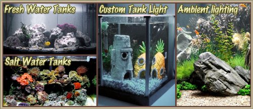 Biltek 2' ft Cool White Aquarium Tank Coral White LED Backlight Night Light On/Off Switch Control Kit - Main Lighting Sub Fresh Water Salt Water Tanks Water Resistant 3528 SMD Flexible DIY 110V-220V