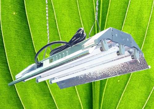 T5 HO Indoor Grow Light - 2 FT 3 Tubes - DL823 Fluorescent Hydroponic Fixture Bloom Veg Daisy Chain with Bulbs