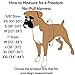 2 Hounds Design Freedom No Pull Dog Harness, Adjustable Harness, Easy Walking & Comfortable Control, Fits Small, Medium & Large Dogs, Solid Colors, Made in USA, 1