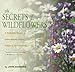 The Secrets of Wildflowers: A Delightful Feast of Little-Known Facts, Folklore, and History by Jack Sanders
