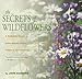 Secrets of Wildflowers: A Delightful Feast of Little-Known Facts, Folklore, and History