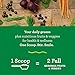 Amazing Grass Green Superfood Organic Powder with Wheat Grass and 7 Super Greens, Flavor: Original, 30 Servings, 1 scoop = 2 servings of veggiesthumb 2