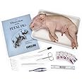 Carolina Biological Supply Pig Anatomy Kit - Single Station Kit For 1-2 Student School Dissection | Student Dissecting Set, Disposable Foam Tray, Hand Wipes, And Plastic Storage | Includes Dissection