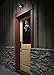 Light It! By Fulcrum, 12-LED Motion Sensor Security Light, Wireless, Battery Operated, White