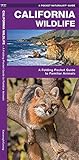 California Wildlife: A Folding Pocket Guide to Familiar Animals (Wildlife and Nature Identification) by 