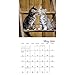 Kittens Wall Calendar (2019)