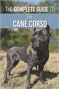 cane corso snoring