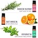 Natrogix Essential Oils 18 Pack 10ml Made in USA 100% Pure Natural Aromatherapy Essential Oil Set Essential Oils for Diffuser Humidifier Massage Hair Skin Care, w/Free E-Book
