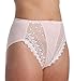 VALMONT, INC Women's Embroidered Lace and Satin Hi-Cut Brief Panty, Light Pink, 8