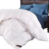White Goose Down Comforter Duvet 600 Thread Count-Solid 800 Fill Power Egyptian Cotton Shell (Queen)