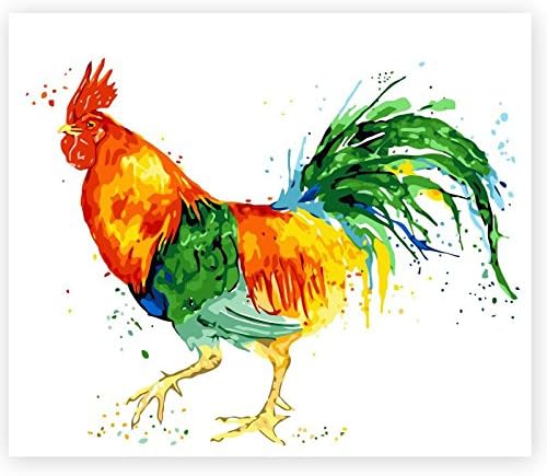 Diy Oil Painting Paint by number kit Wall Art Paintings -Cute Animal Cock Colorful 16x20inch