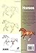 How to Draw Horses in Simple Steps