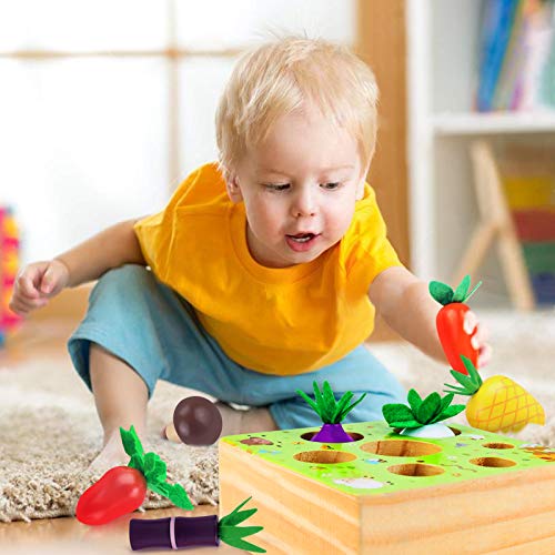 CENOVE Montessori Toys for 1 2 3 Year Old Boy Girl,STEM Educational Wooden Toys Shape Sorter Puzzle,7 Size Vegetables and Fruits Harvest Wooden Toy Gift for Toddlers