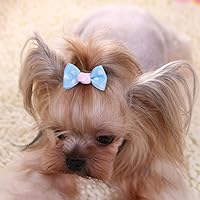 Hollihi 40 Pcs Adorable Grosgrain Ribbon Pet Dog Hair Bows With