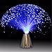 Katoot@ Beautiful Romantic Multicolor Changing LED Fiber Optic Nightlight Lamp Holiday Wedding Decor Small Night Light S3