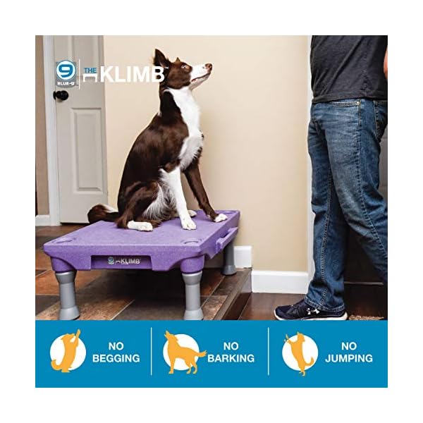 klimb dog platform
