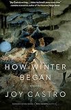 How Winter Began: Stories (Flyover Fiction)